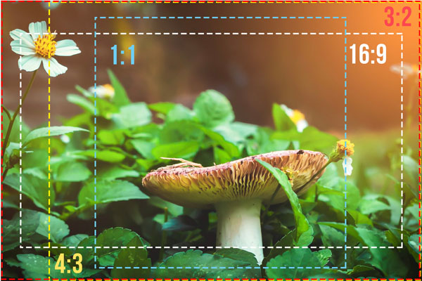 بهترین نسبت تصویر در ویدئو پروژکتور