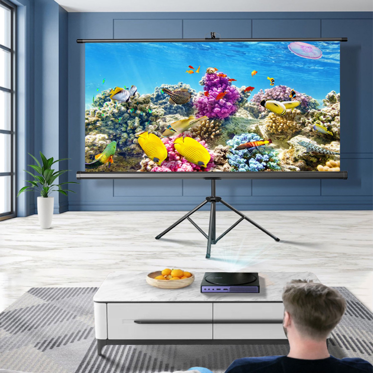 پرده نمایش پایه دار ویدئو پروژکتور تسکو مدل TVS125 TR