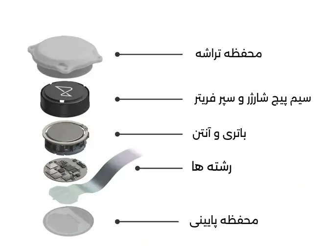 نورالینک