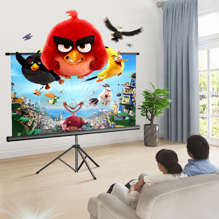 پرده نمایش پایه دار ویدئو پروژکتور تسکو مدل TVS125 TR